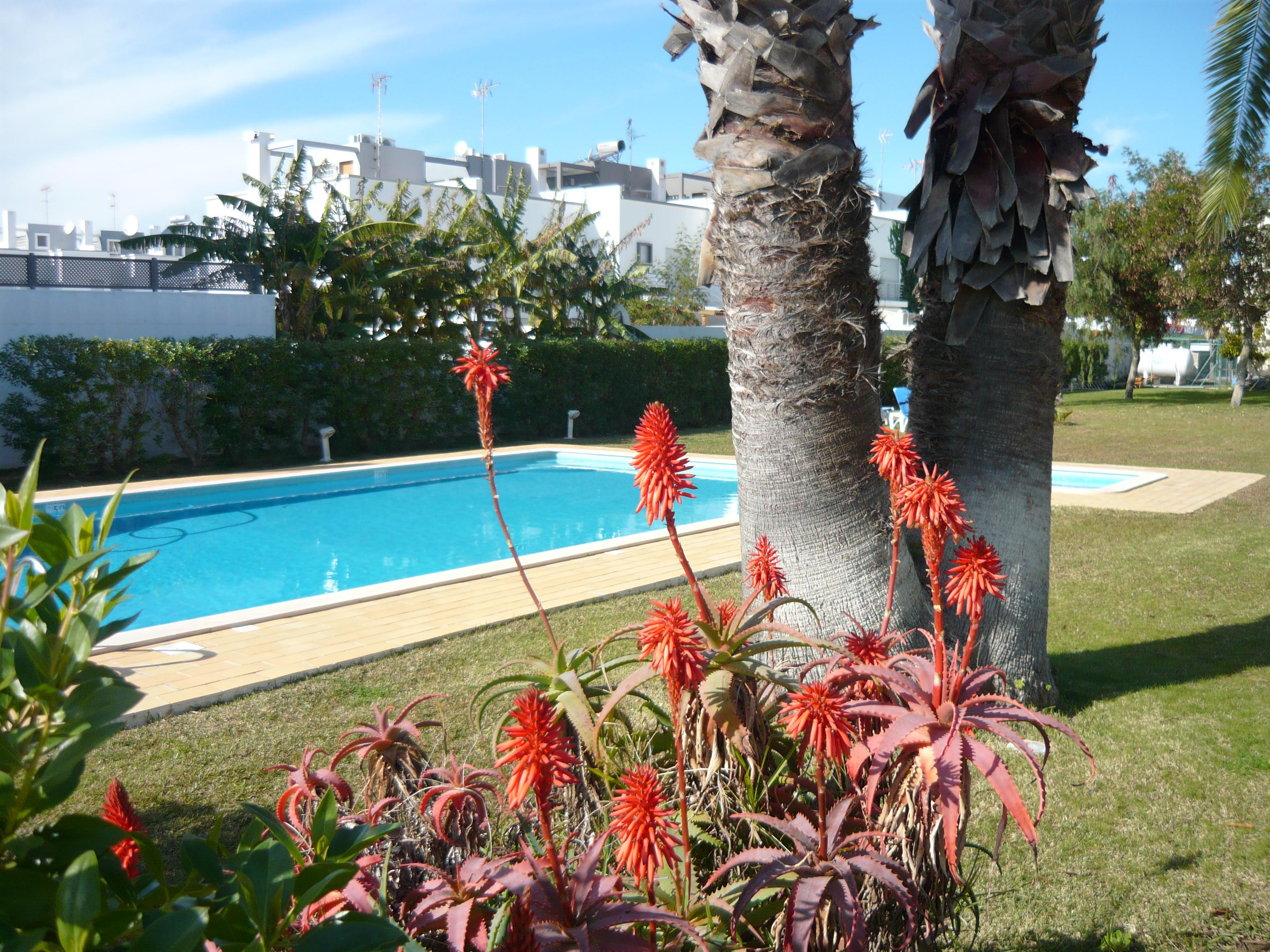 Praia Da Lota Resort - Beachfront Hotel Manta Rota Ngoại thất bức ảnh
